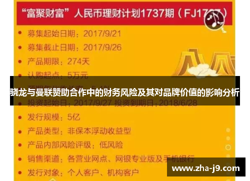 骁龙与曼联赞助合作中的财务风险及其对品牌价值的影响分析 骁龙与曼联赞助合作中的财务风险及其对品牌价值的影响分析