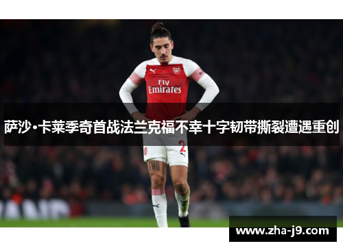 萨沙·卡莱季奇首战法兰克福不幸十字韧带撕裂遭遇重创 萨沙·卡莱季奇首战法兰克福不幸十字韧带撕裂遭遇重创